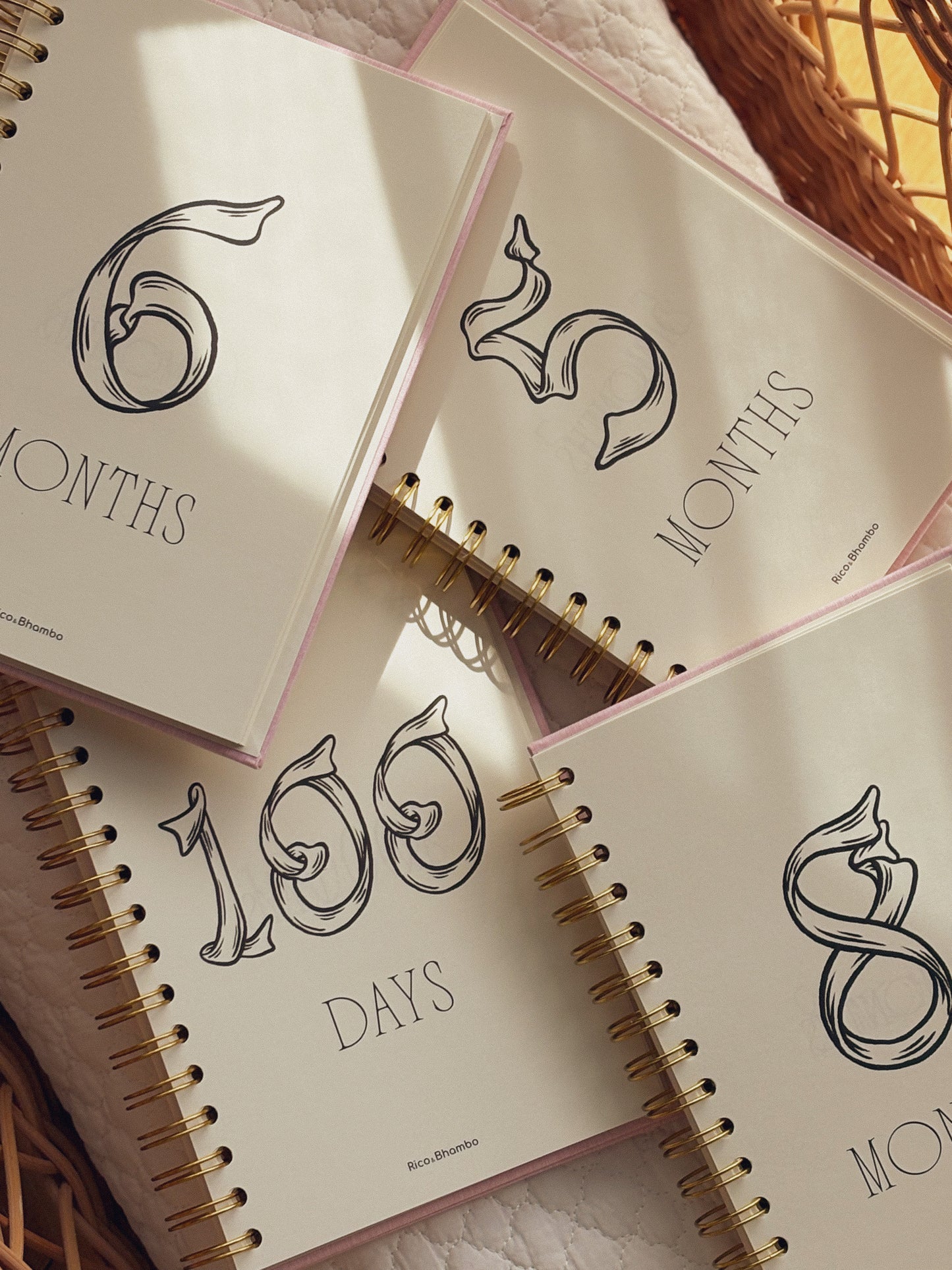 The First Moments Book Vol.01 - MONTHLY MILESTONES