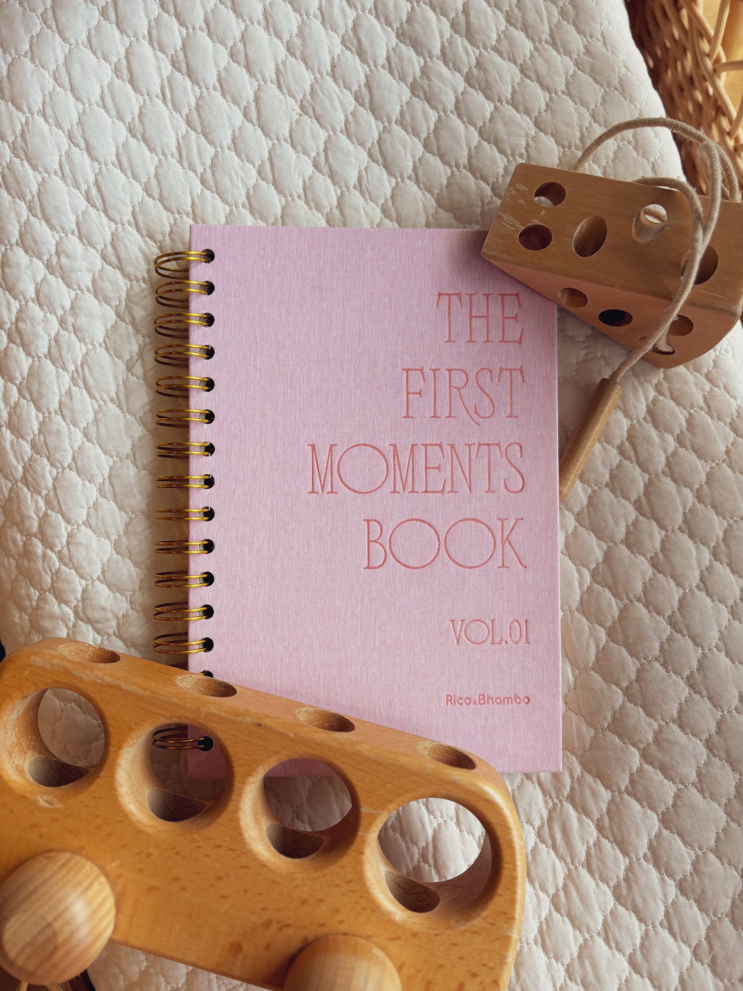 The First Moments Book Vol.01 - MONTHLY MILESTONES